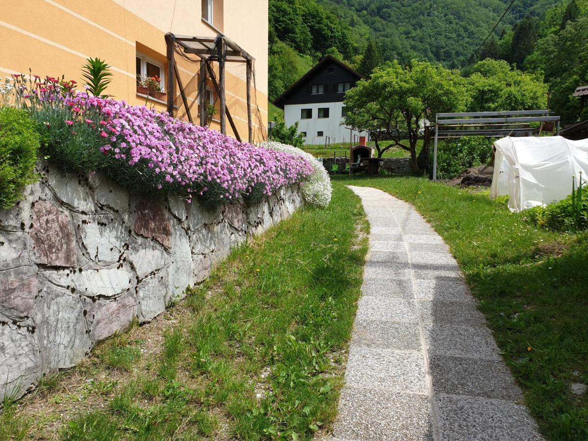 Apartment And Garden House Among The Mountains Podbrdo Kültér fotó