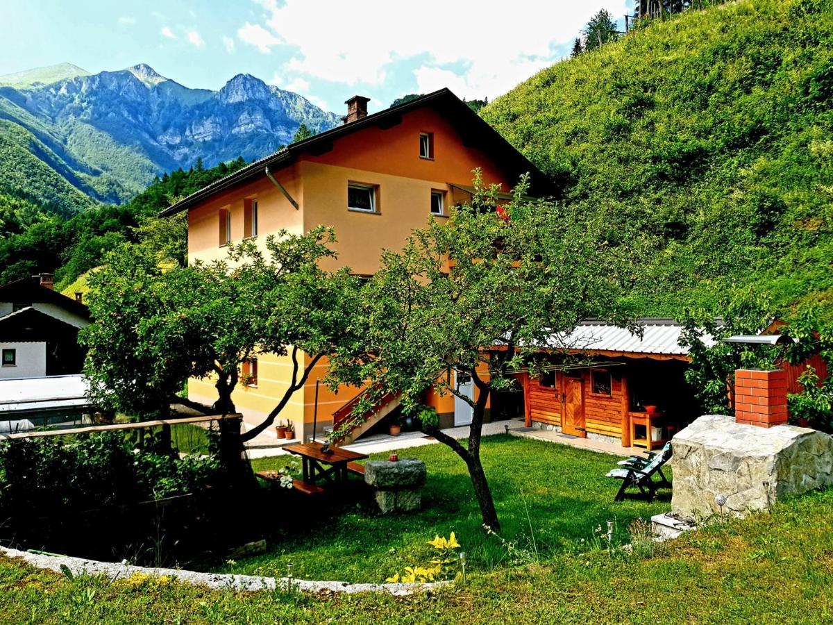 Apartment And Garden House Among The Mountains Podbrdo Kültér fotó