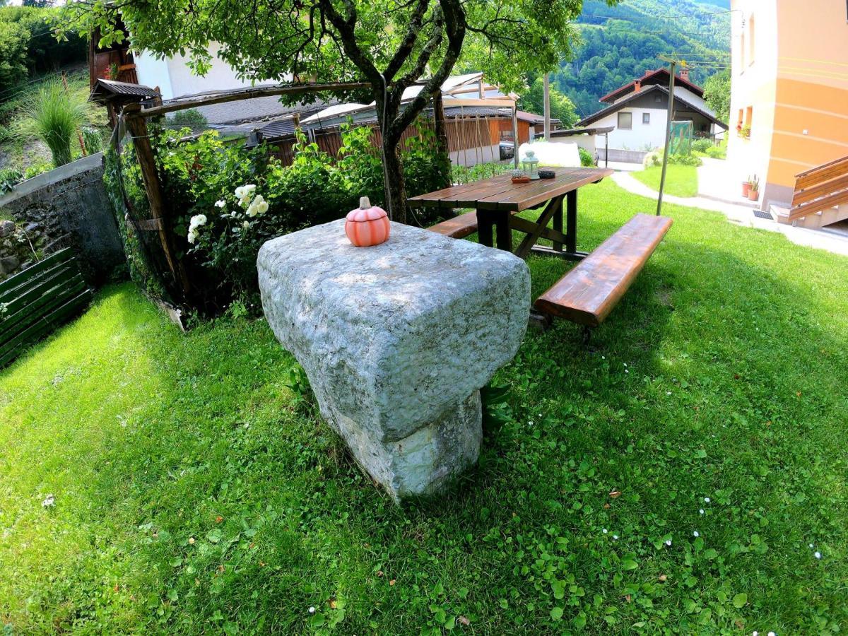 Apartment And Garden House Among The Mountains Podbrdo Kültér fotó