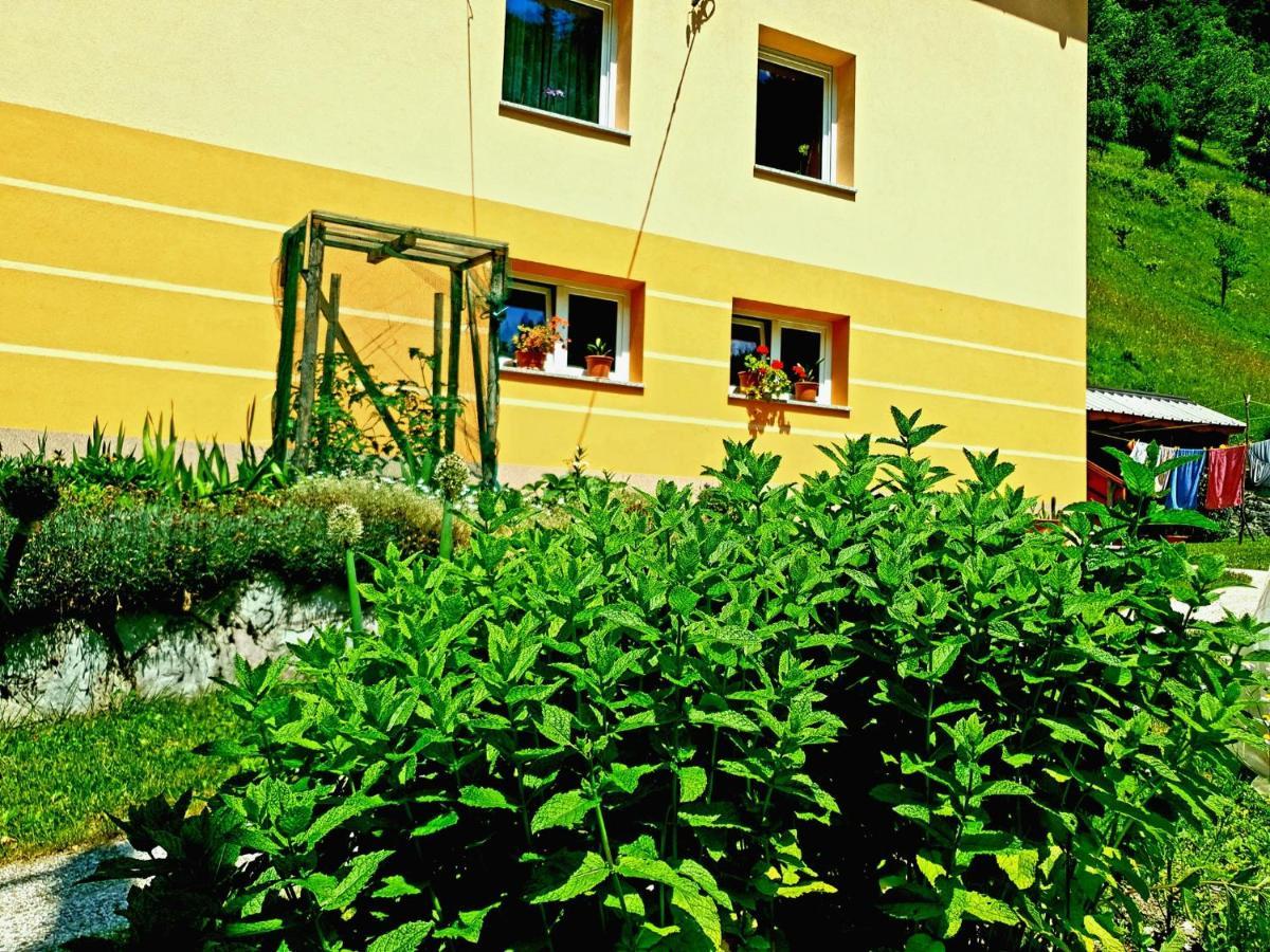 Apartment And Garden House Among The Mountains Podbrdo Kültér fotó
