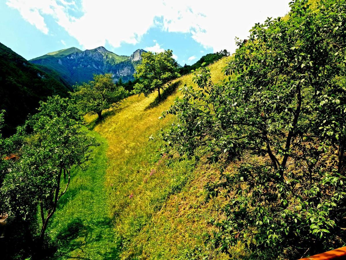 Apartment And Garden House Among The Mountains Podbrdo Kültér fotó